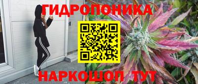 2c-b Северобайкальск