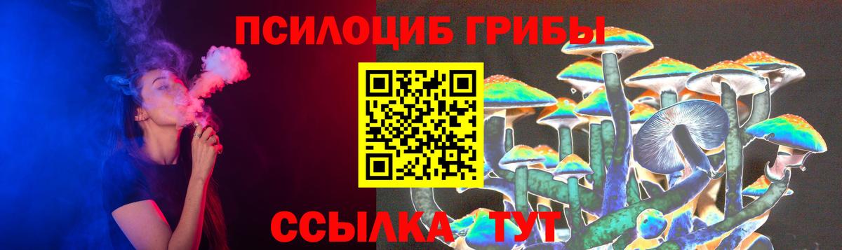 Саров  Галлюциногенные грибы Psilocybine cubensis  как найти закладки  Вход с VPN 